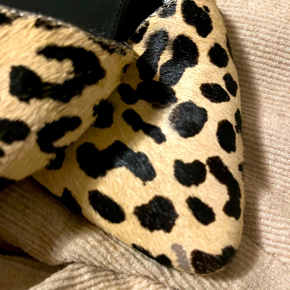 Leopard mules!